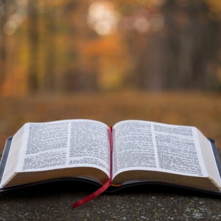 Open bible